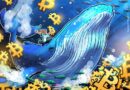 Bitcoin whale holdings hit five-month high: Is BTC headed to $80K next?
