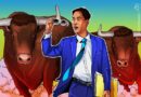 Four reasons why the crypto market is rallying today: Will bulls maintain control?