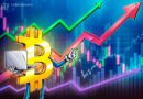 Chance of new Bitcoin lows ‘extremely slim’ as long-term holders’ supply tops 15M BTC